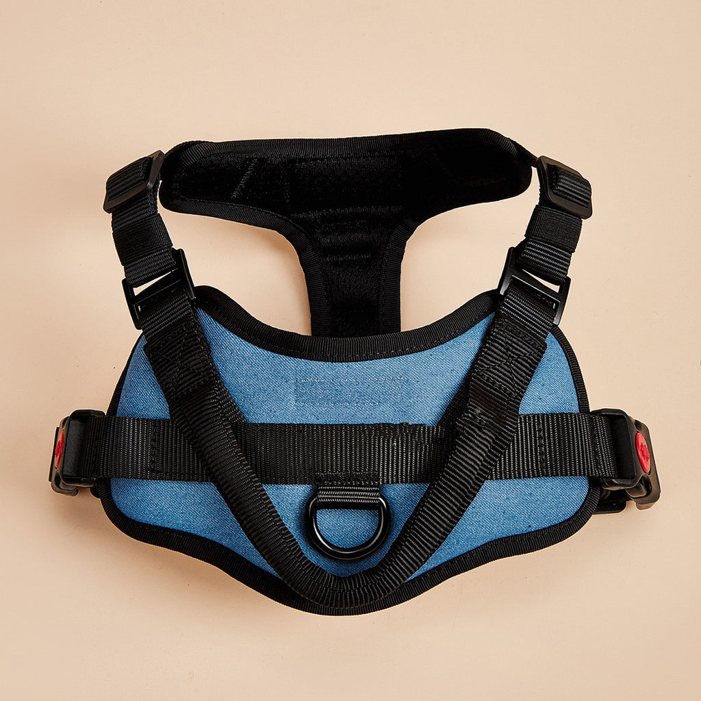 Light blue padded dog harness with black trim