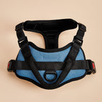Light blue padded dog harness with black trim