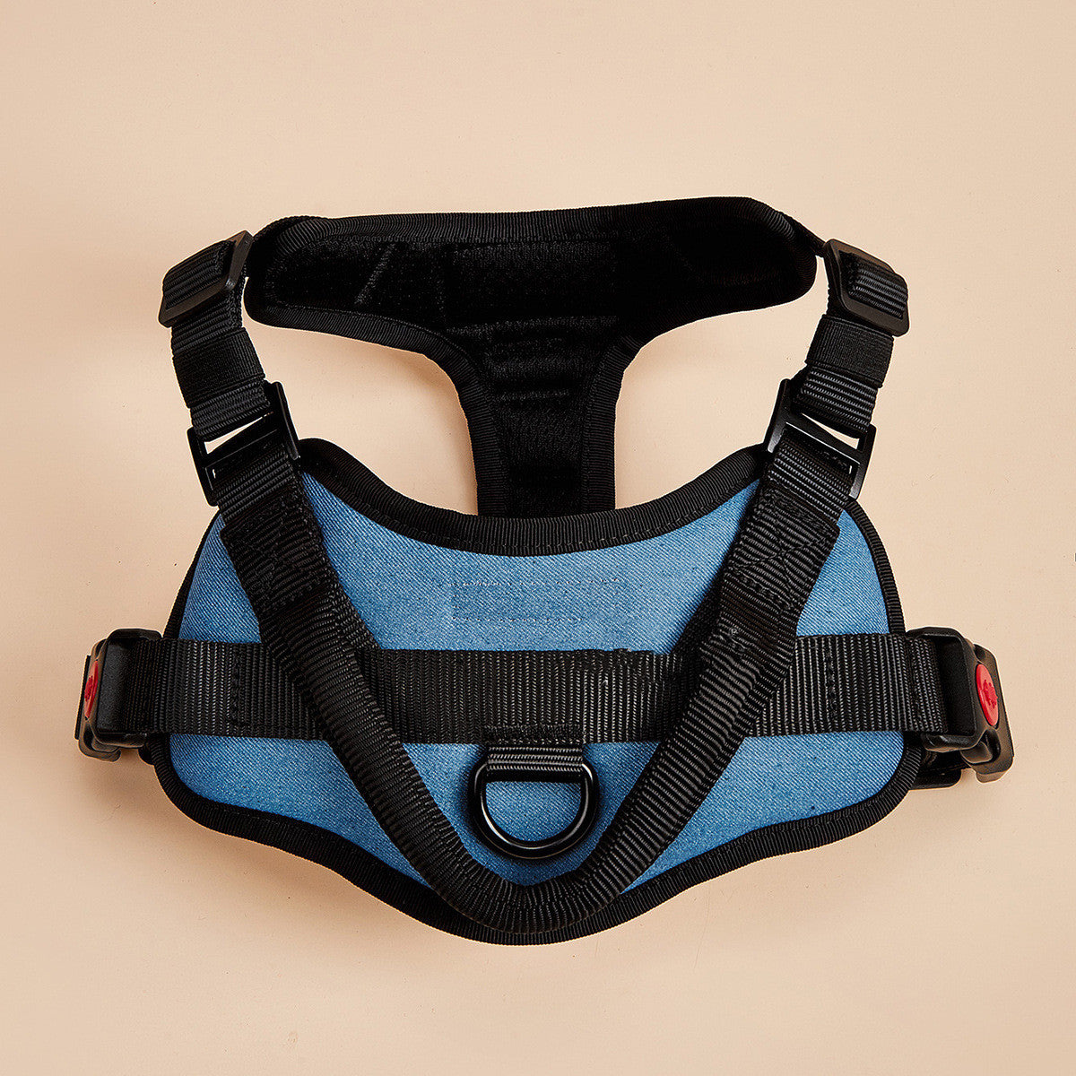 Light blue padded dog harness with black trim