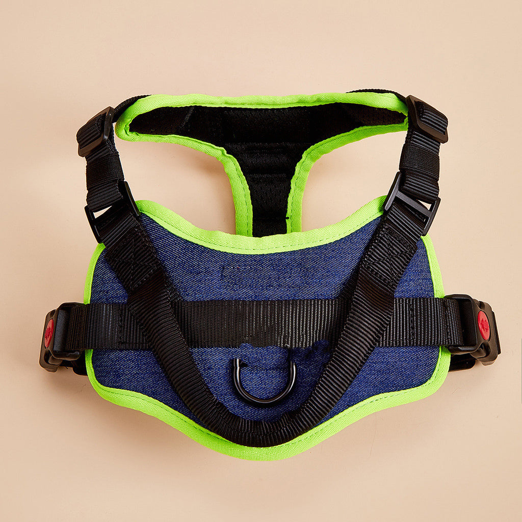 Denim blue padded dog harness with lime green trim